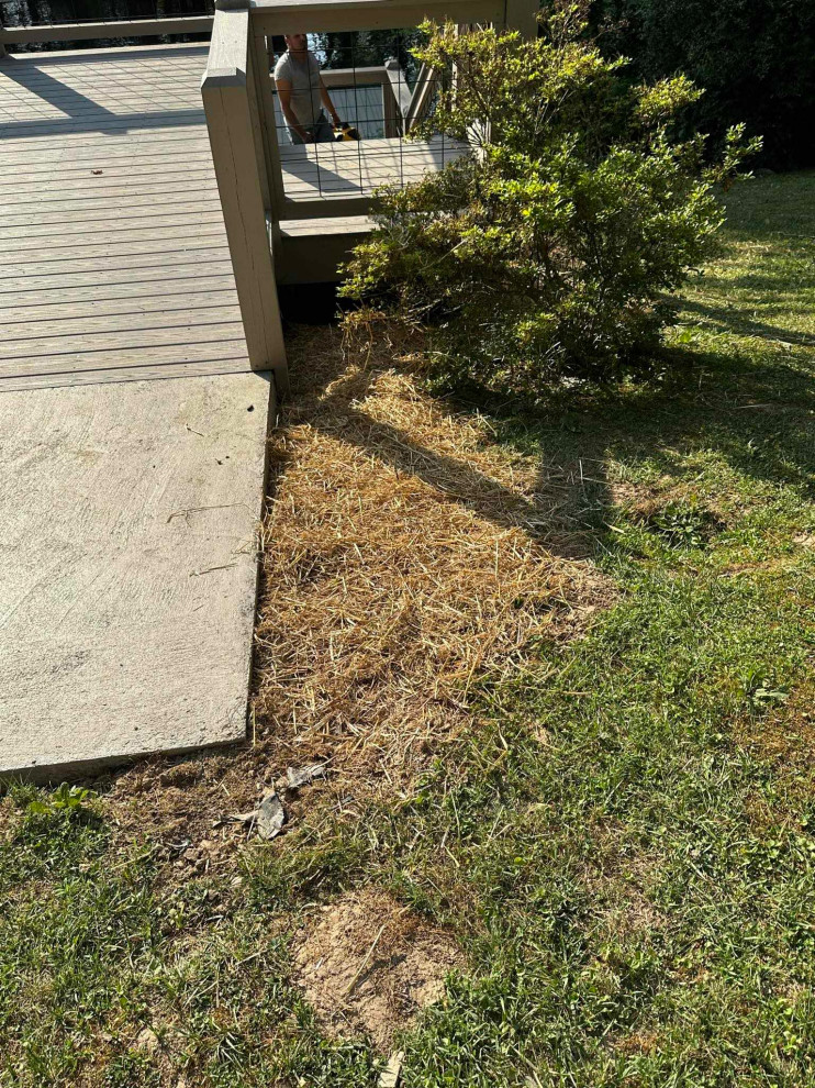 K Bushey Deck