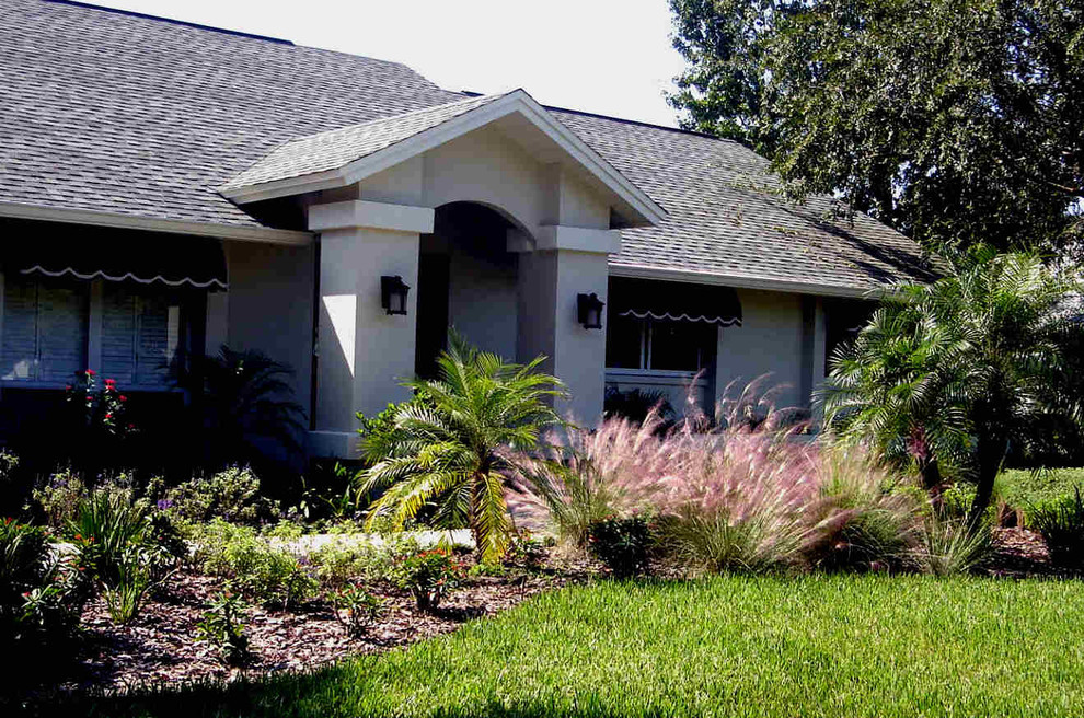 This is an example of a contemporary garden in Tampa.