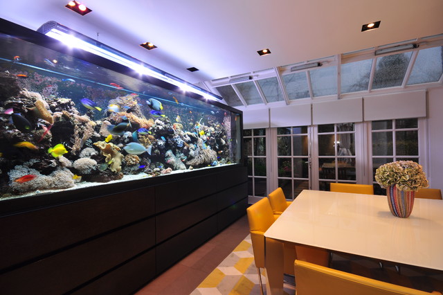 Aquarium Architecture Modern Esszimmer London Von