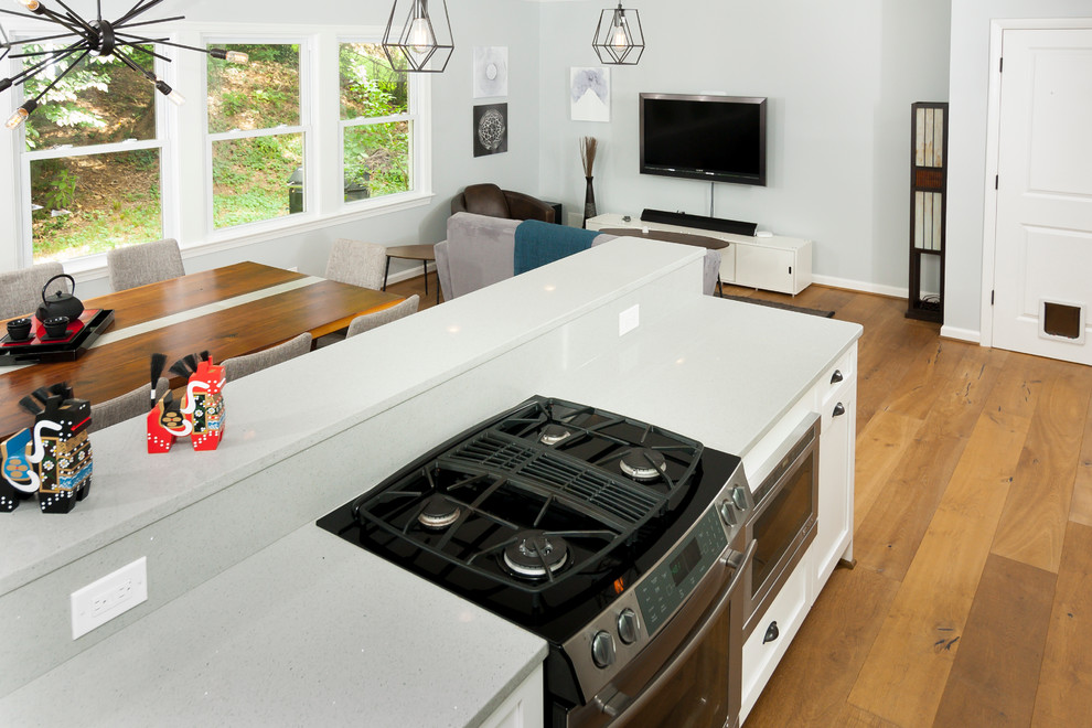 Kitchen - transitional kitchen idea in DC Metro
