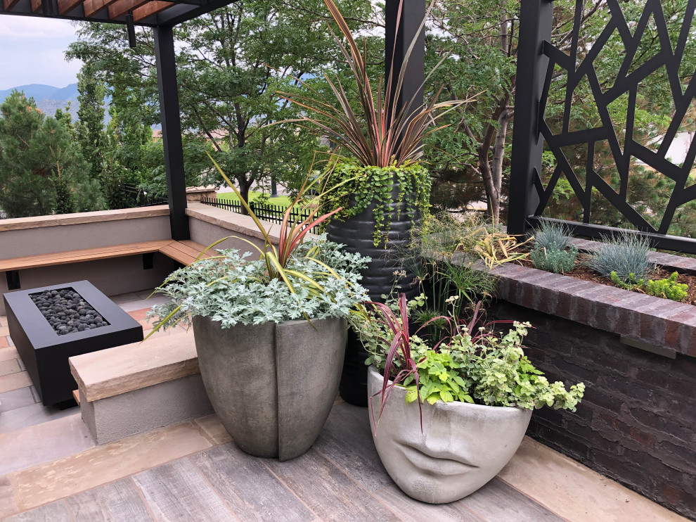 Cette image montre un jardin en pots arrière minimaliste de taille moyenne avec des pavés en béton.