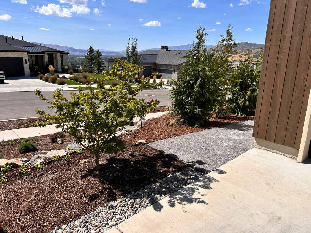 Alpine Landscape Build