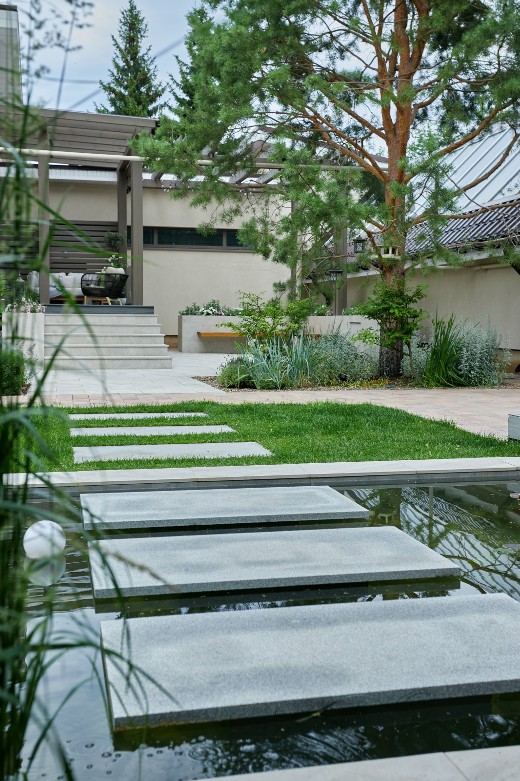 Водоем:Чистые линии