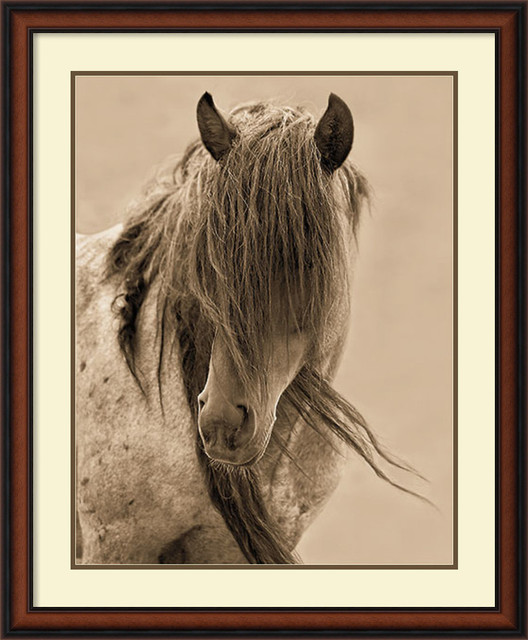 Framed Art Print 'Freedom' by Lisa Dearing, Outer Size 28"x34"