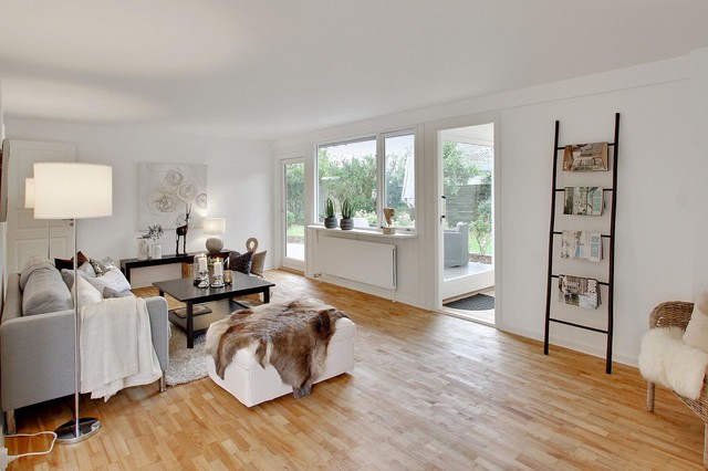 Almeengen scandinavian-living-room