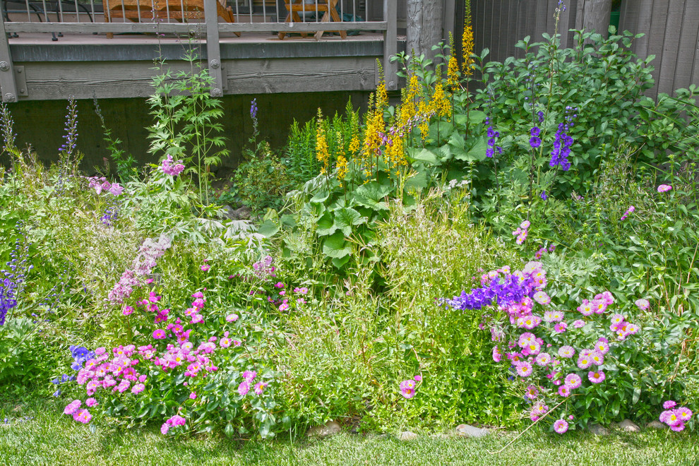 This is an example of a traditional partial sun garden for summer in Denver.