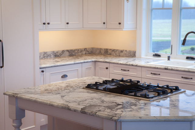 Super White Quartzite Countertops Traditional Kitchen Dc