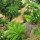 Rich Earth Landscape Gardens Pty Ltd