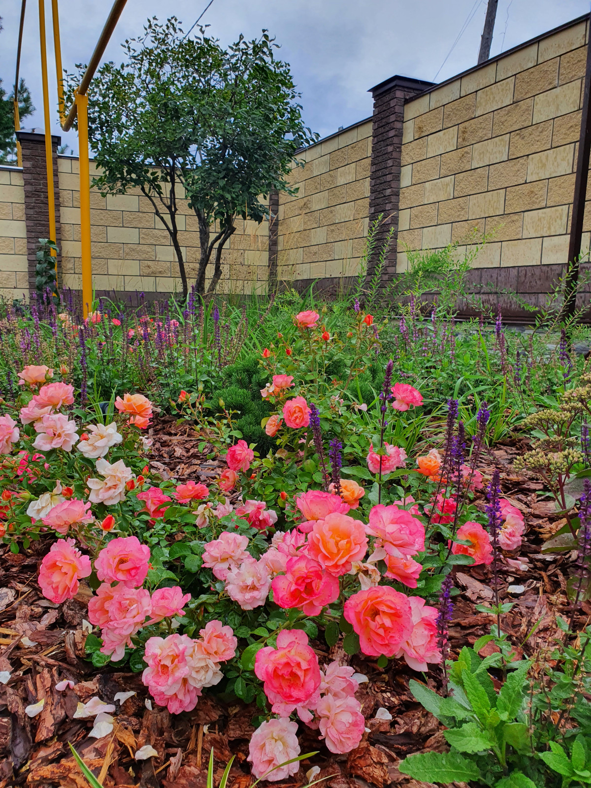 Частный сад в Самарской области