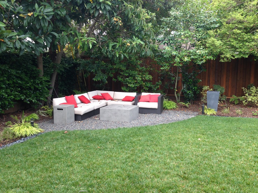 Photo of a contemporary backyard gravel landscaping in San Francisco.