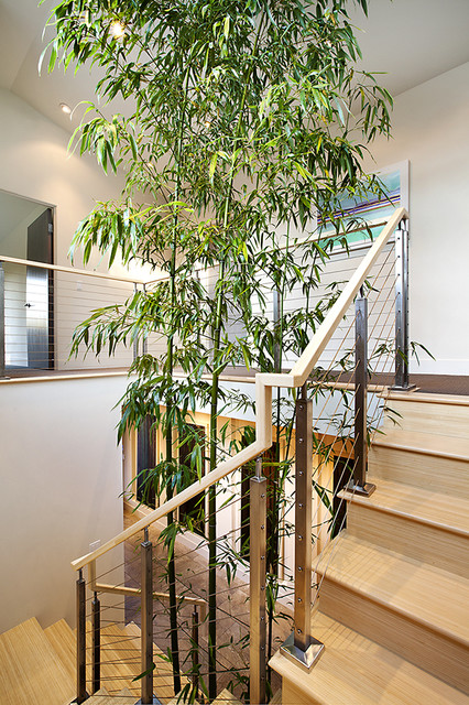 Laguna II modern-staircase