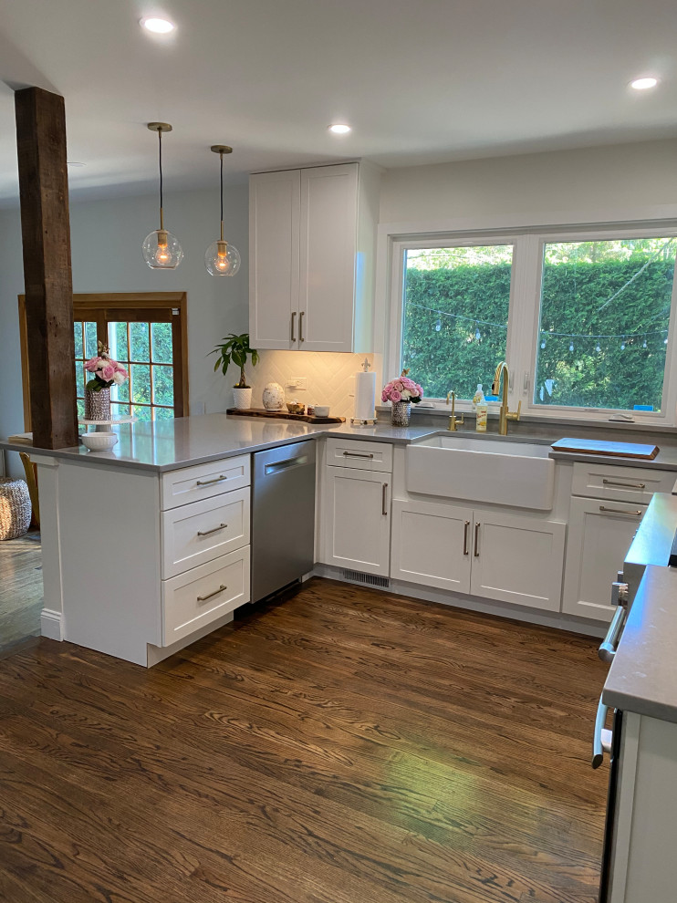 Inspiration for a transitional kitchen remodel in Chicago