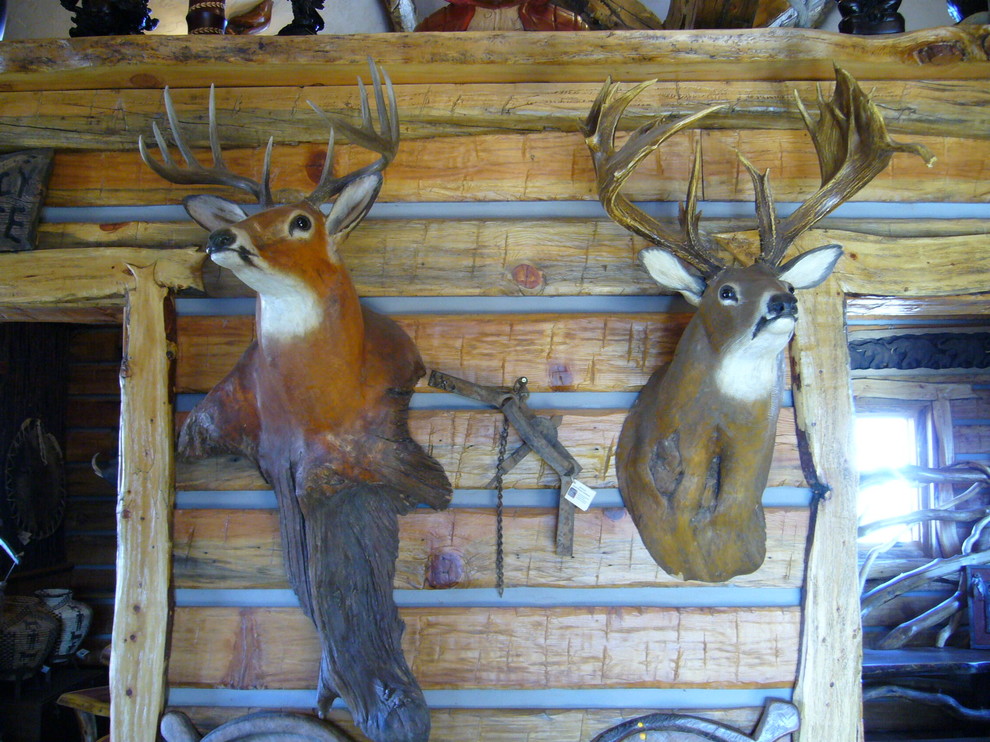 Home design - rustic home design idea