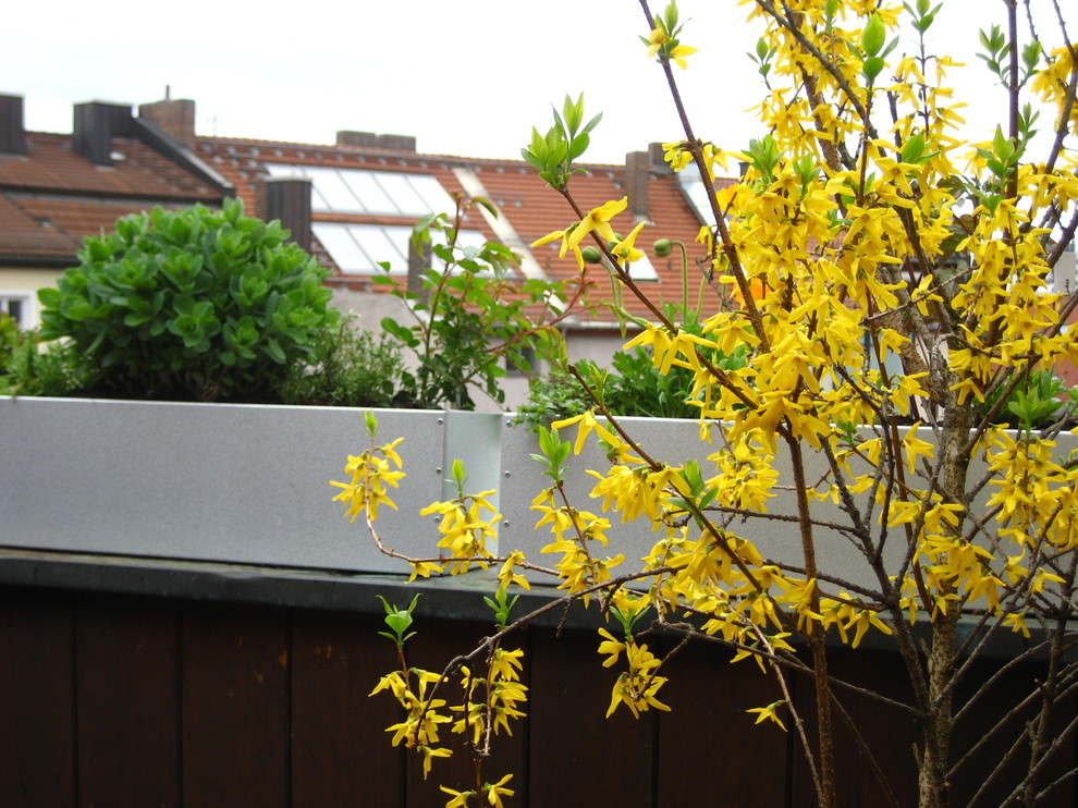Dachterrasse auf dem Dach With Kübelpflanzen and Markisen in Munich