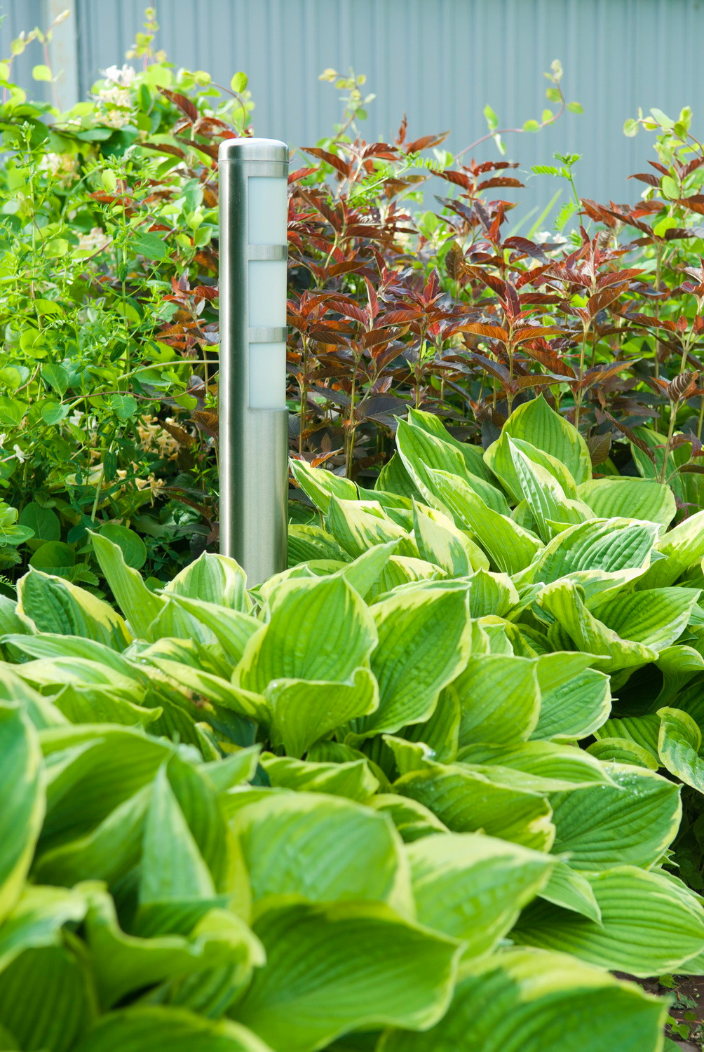 Новый свет, 18 соток