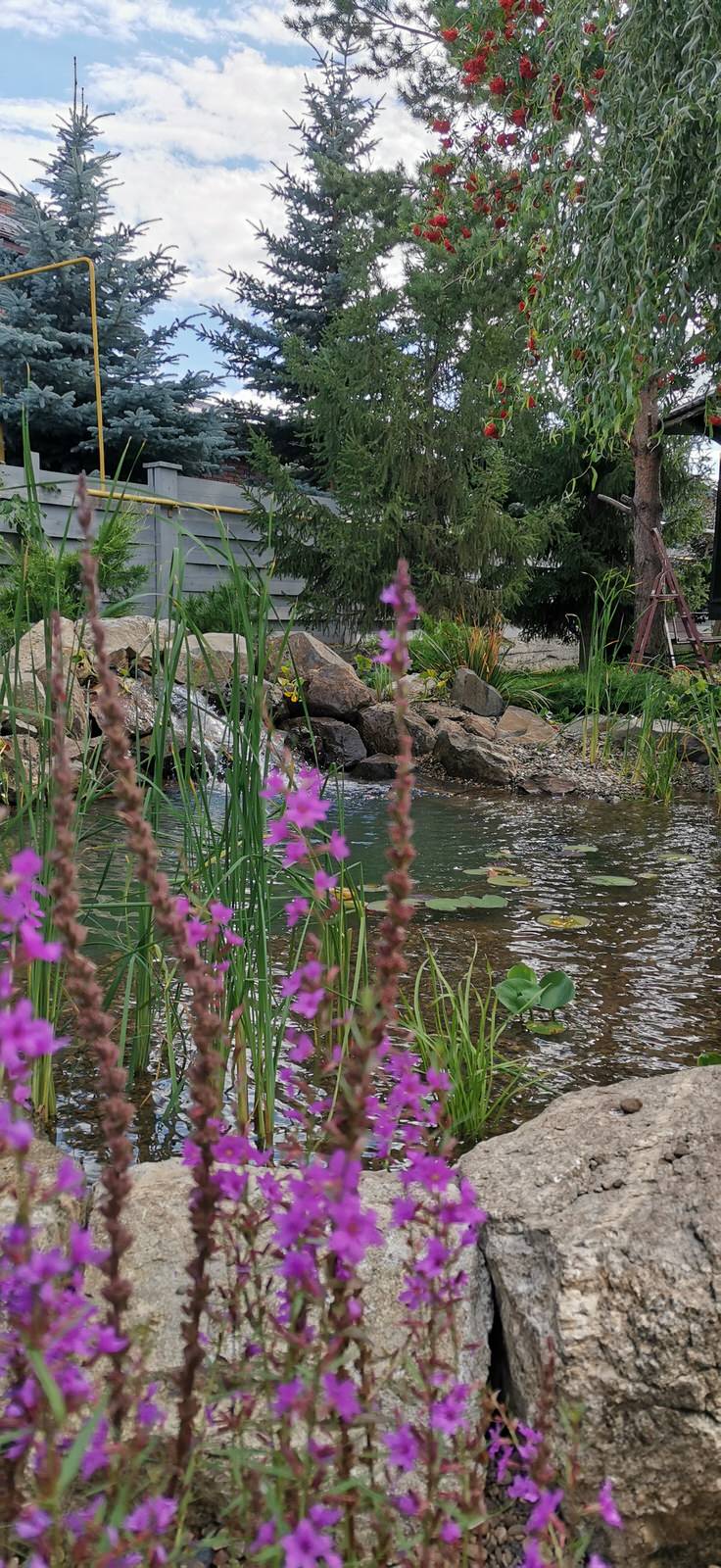 Декоративный пруд