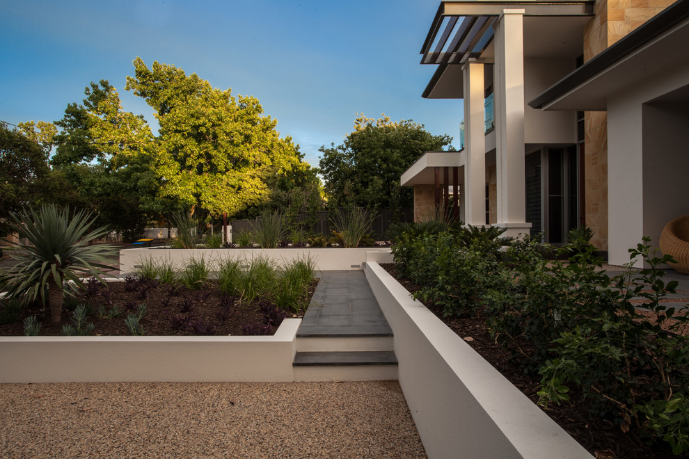 This is an example of a mid-sized modern front yard full sun xeriscape in Adelaide with a retaining wall.