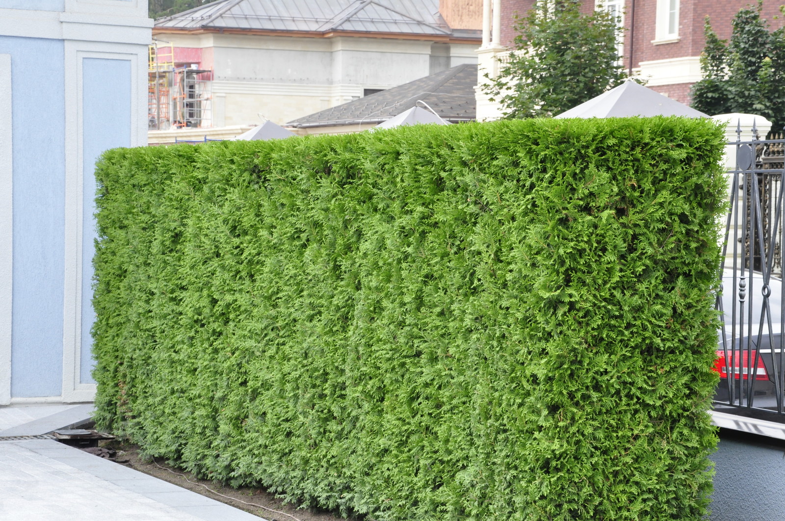 кп "Усово" - Уход за садом - 100% качество