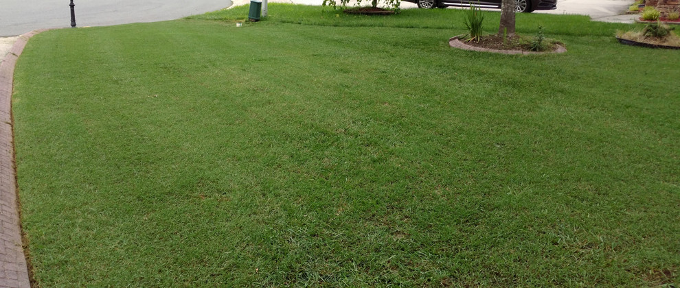 Is it worth converting common bermuda to TifGrand