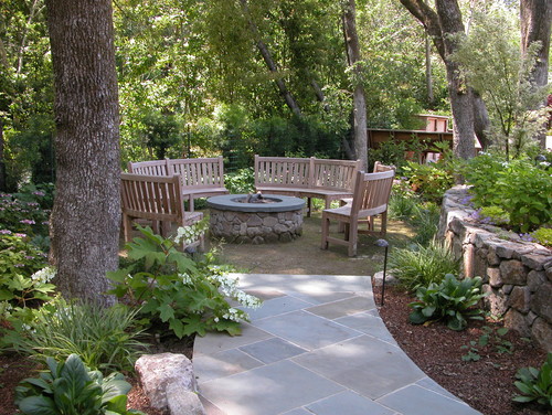 How to Save Money by Planting a Tree