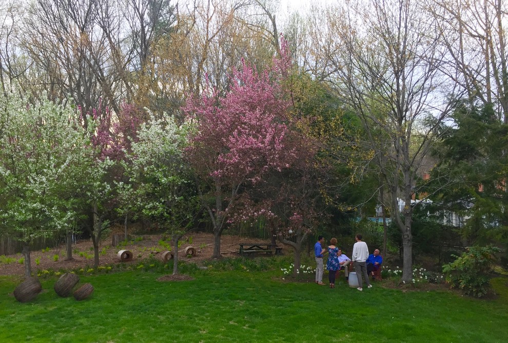 Backyard Entertaining in Bethesda