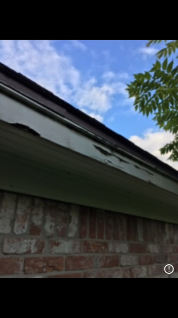 Fascia & Soffit Repairs