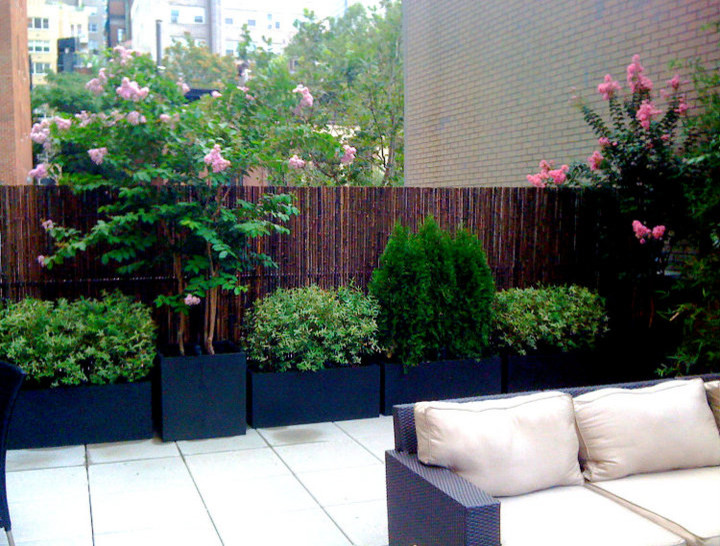 Inspiration for a large contemporary rooftop deck in New York with a container garden and no cover.