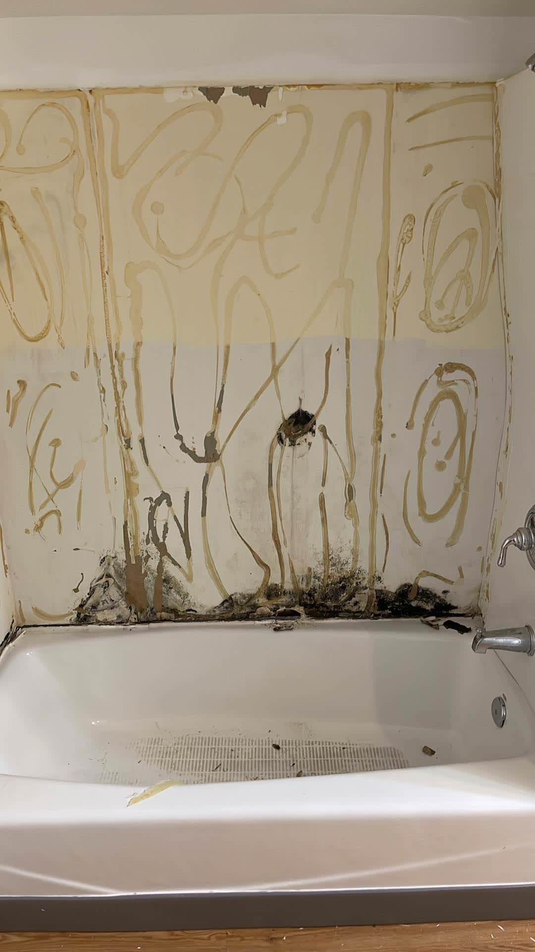 Seattle Home Renovation