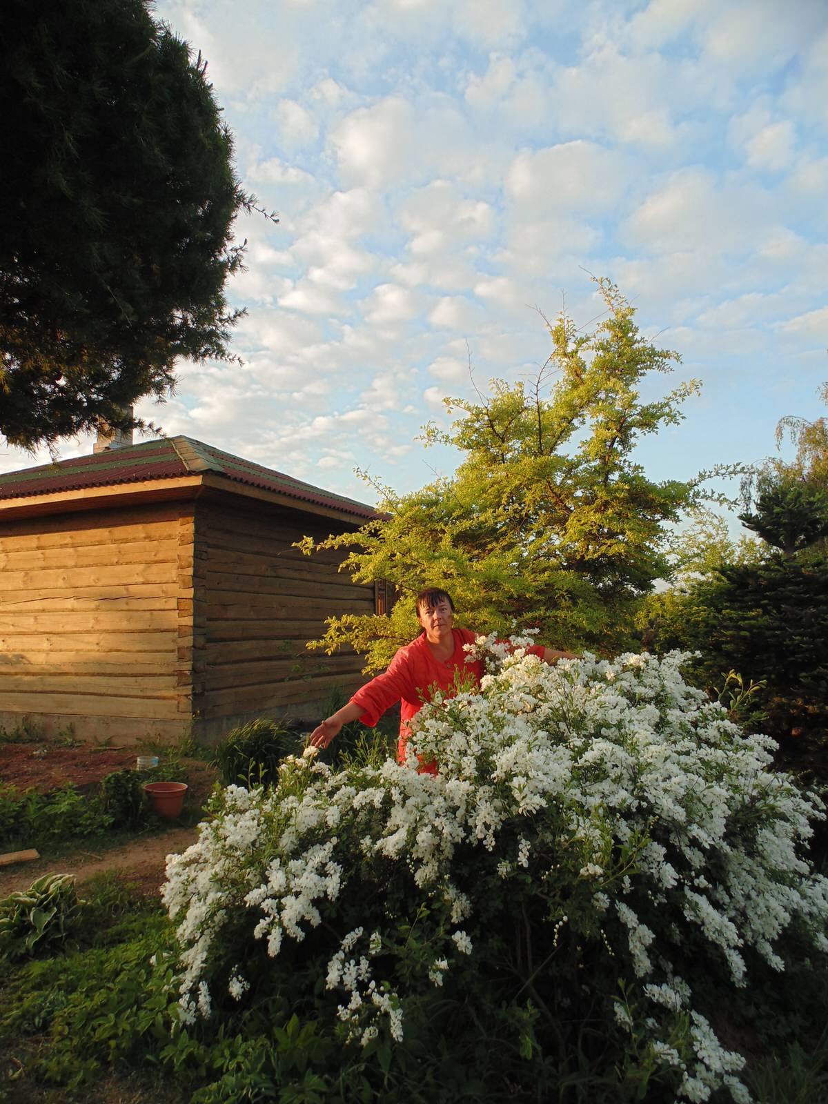 Наш собственный сад