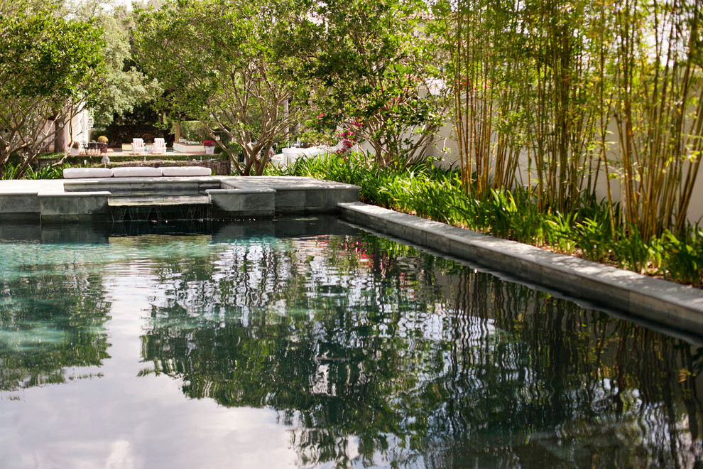 Design ideas for a contemporary rectangular pool in Tampa.