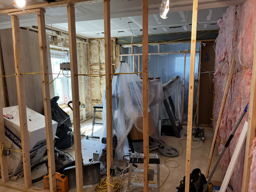 Basement Remodel