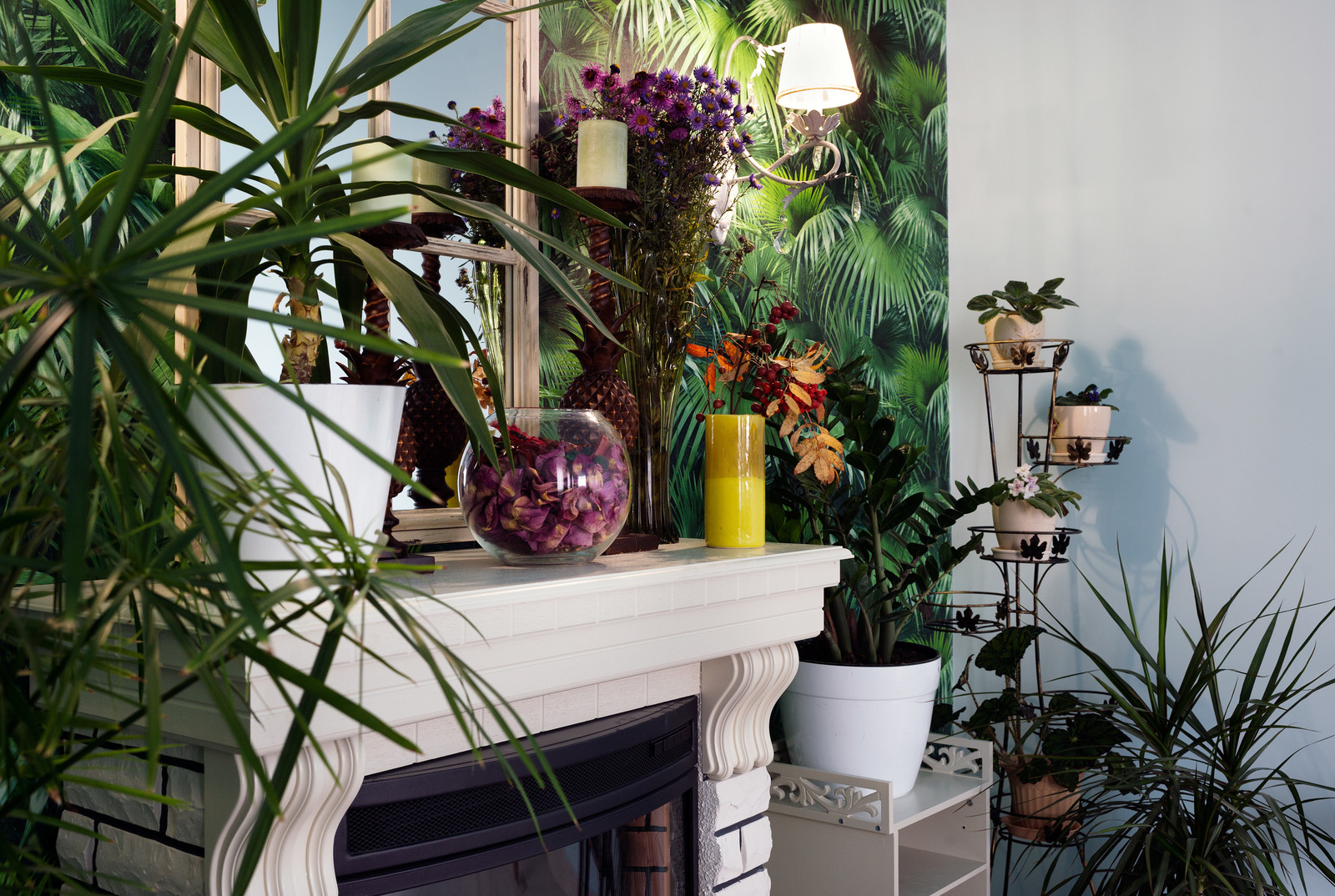 дом в николаевке