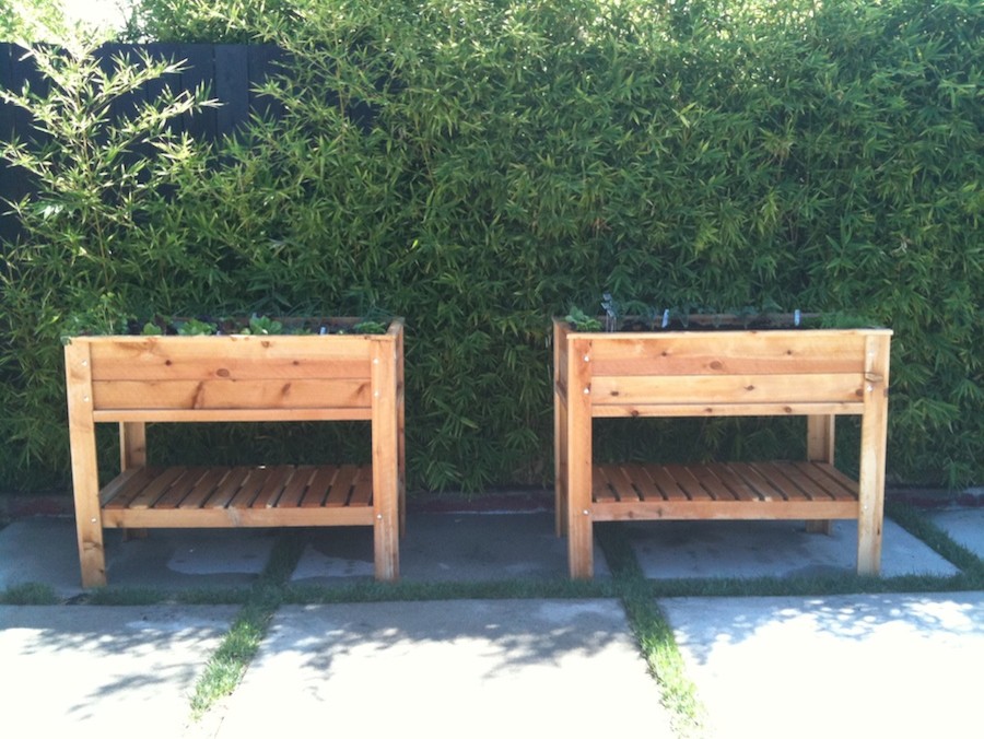 Small contemporary side yard patio in Los Angeles with a vegetable garden and no cover.