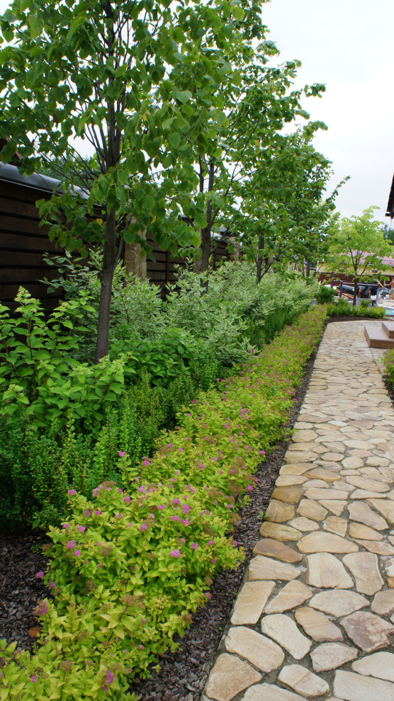 Прохорово лето 2017