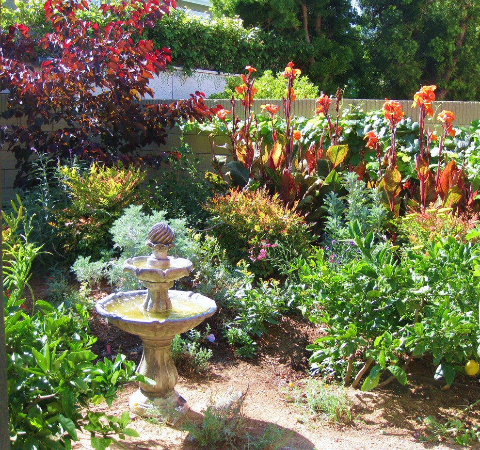 This is an example of a mid-sized and australian native traditional backyard full sun garden in Orange County with a water feature.