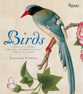 Birds: The Art of Ornithology