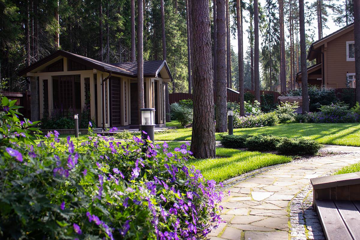 Еловая аллея