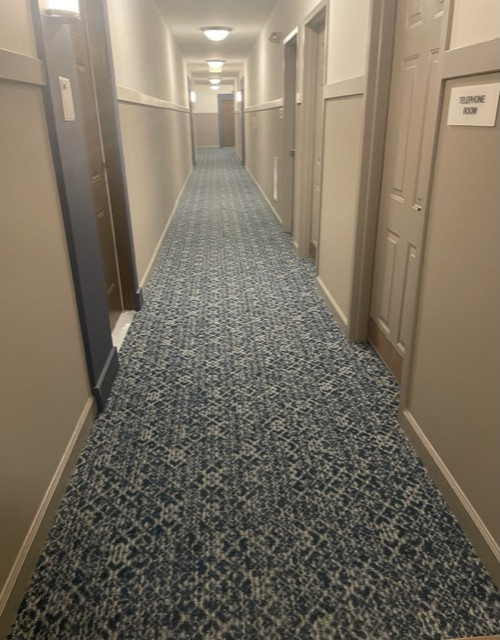 Свежая идея для дизайна: большой коридор в стиле неоклассика (современная классика) с ковровым покрытием, синим полом и бежевыми стенами - отличное фото интерьера