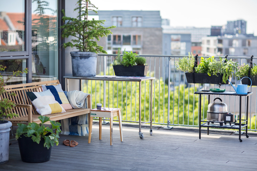 Inspiration for a transitional rooftop and rooftop deck in Copenhagen with a container garden and no cover.