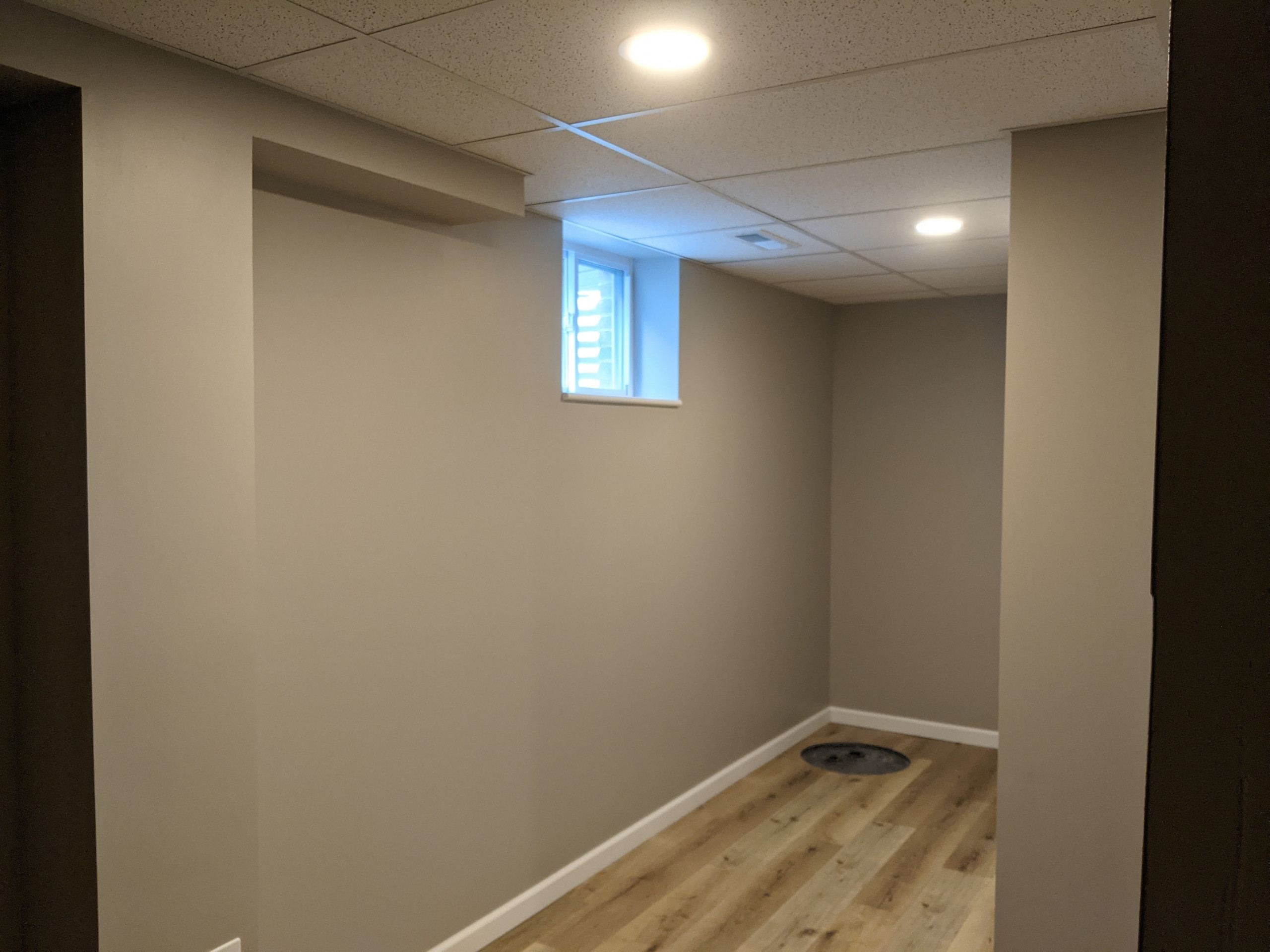 Basement Remodel