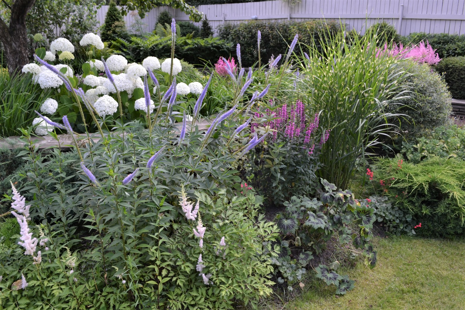 Сад "ВОЛНЫ и КРУГИ"