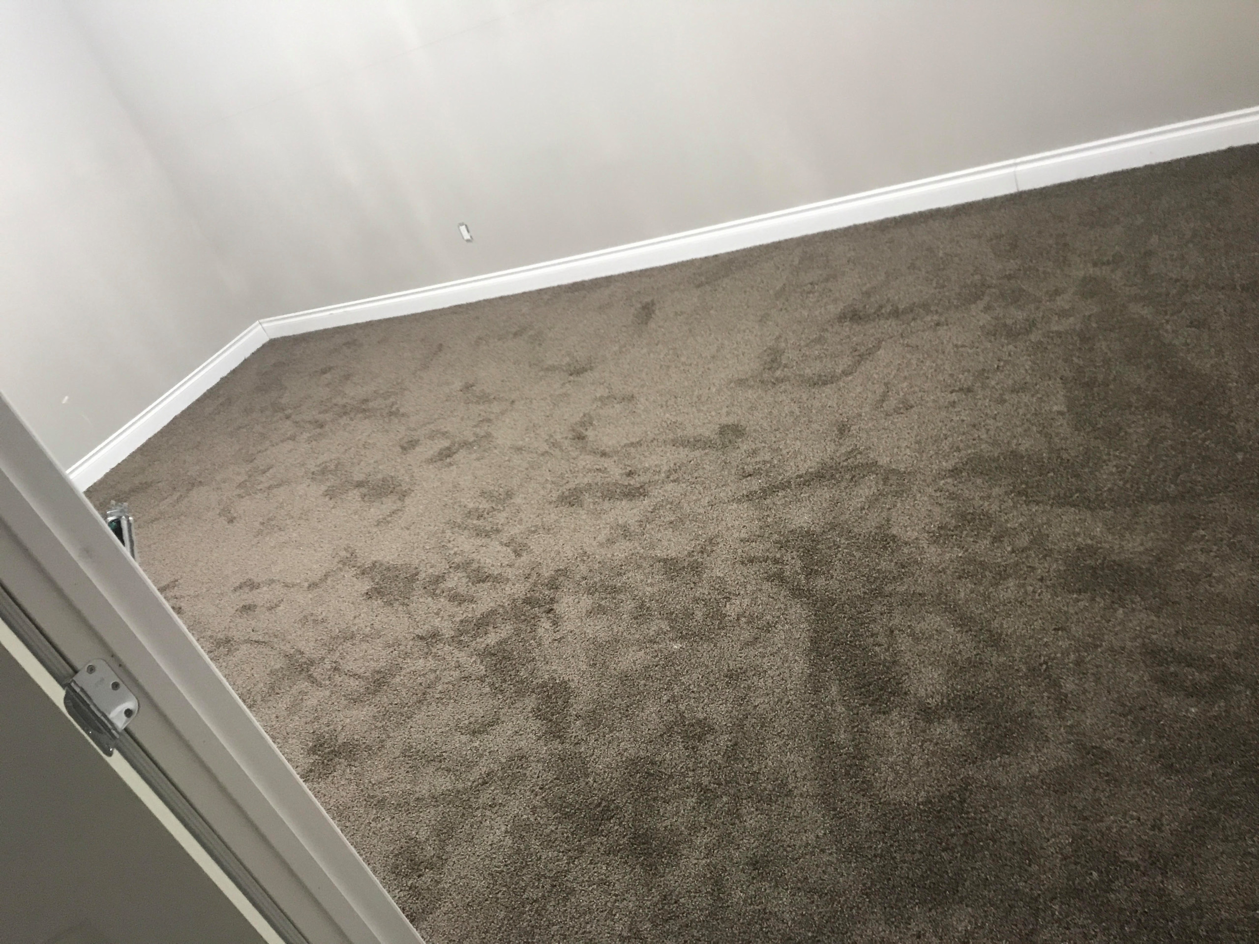 Leduc Carpet Project