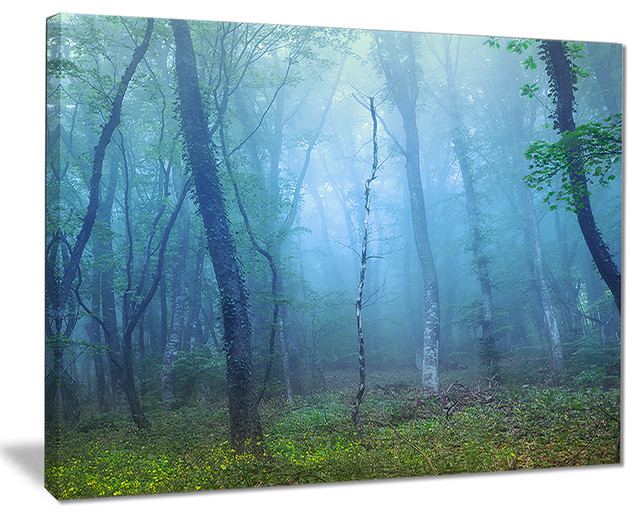 Dark Foggy Forest Trees Landscape Photo Canvas Print Contemporary Prints And Posters By Design Art Usa Houzz Dark Foggy Forest Trees Landscape Photo Canvas Print Contemporary Prints And Posters By Design Art Usa Houzz