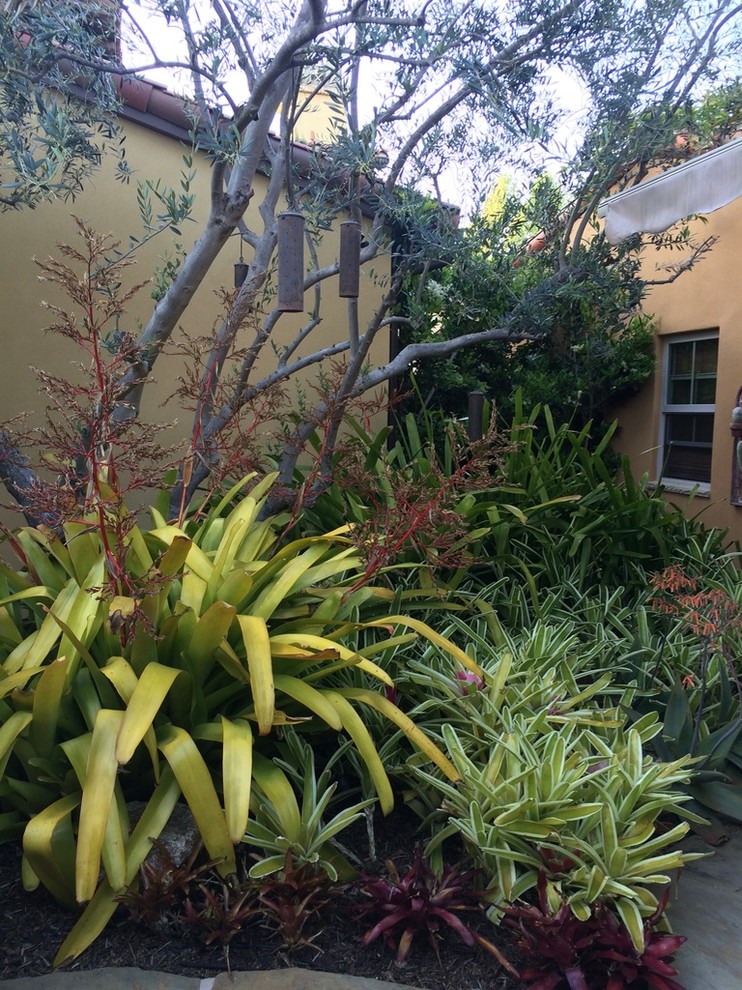 This is an example of a mediterranean courtyard partial sun garden in San Diego.
