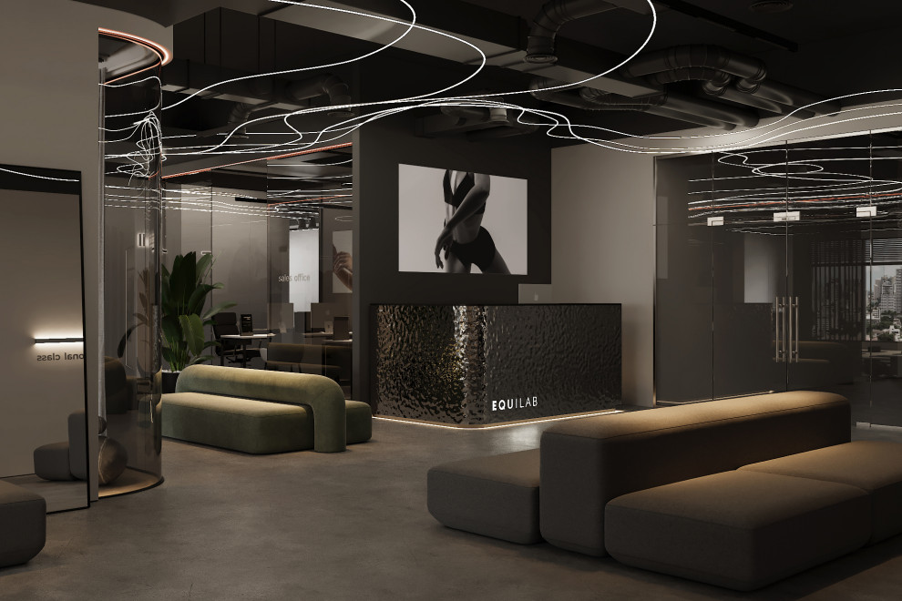 ДИЗАЙН ПРОЕКТ "EQUILAB"