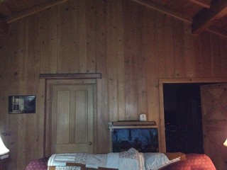 Wood paneled walls...help!