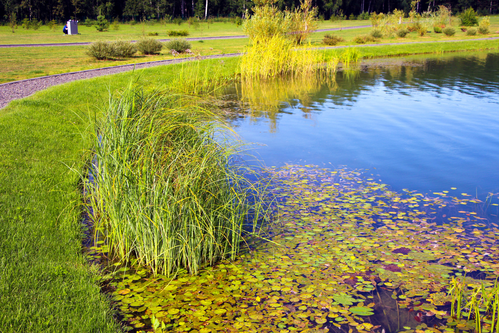 Харламово, 2010-2012 гг.