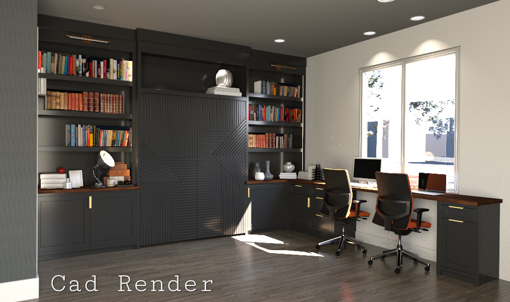 CUSTOM BUILT IN MURPHY BED / BOOKSHELF AND DESK