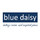 Blue Daisy Wares