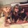 naomi_greenham